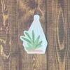 Cactus and Succelent Sticker Pack - Image 2