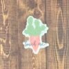 Cactus and Succelent Sticker Pack - Image 5